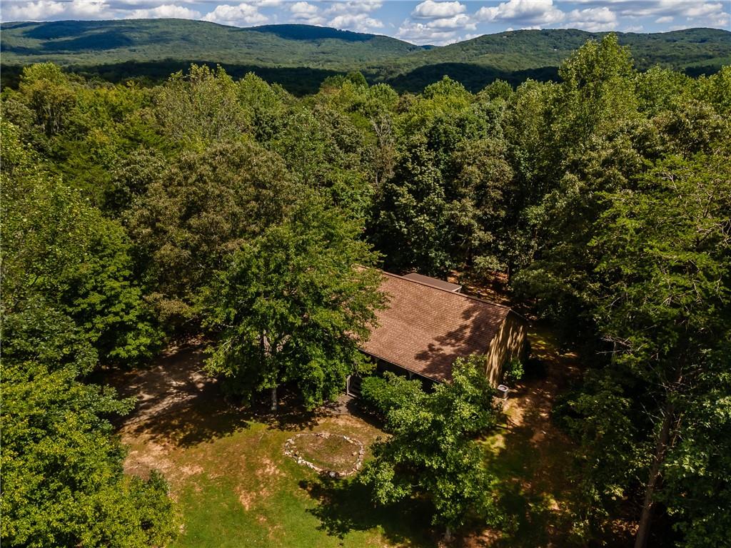 90 Chimney Sweep Trail Fairmount, GA 30139 - Photo 8 of 42 a view of a backyard of a house