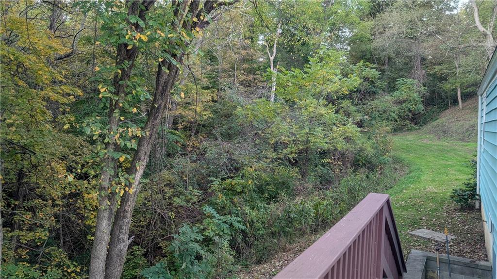 224 Old Ferry Road Rices Landing, PA 15357 - Photo 3 of 25 Gallery Image 3