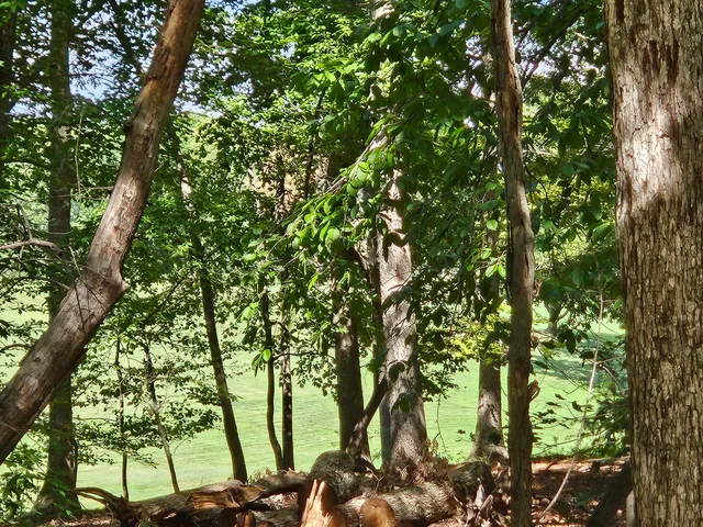 $28,000 | Lot 218 Hunterwood Circle, Penhook, VA 24137