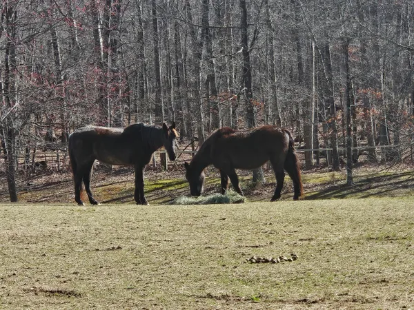 $25,000 | Lot 218 Hunterwood Circle, Penhook, VA 24137