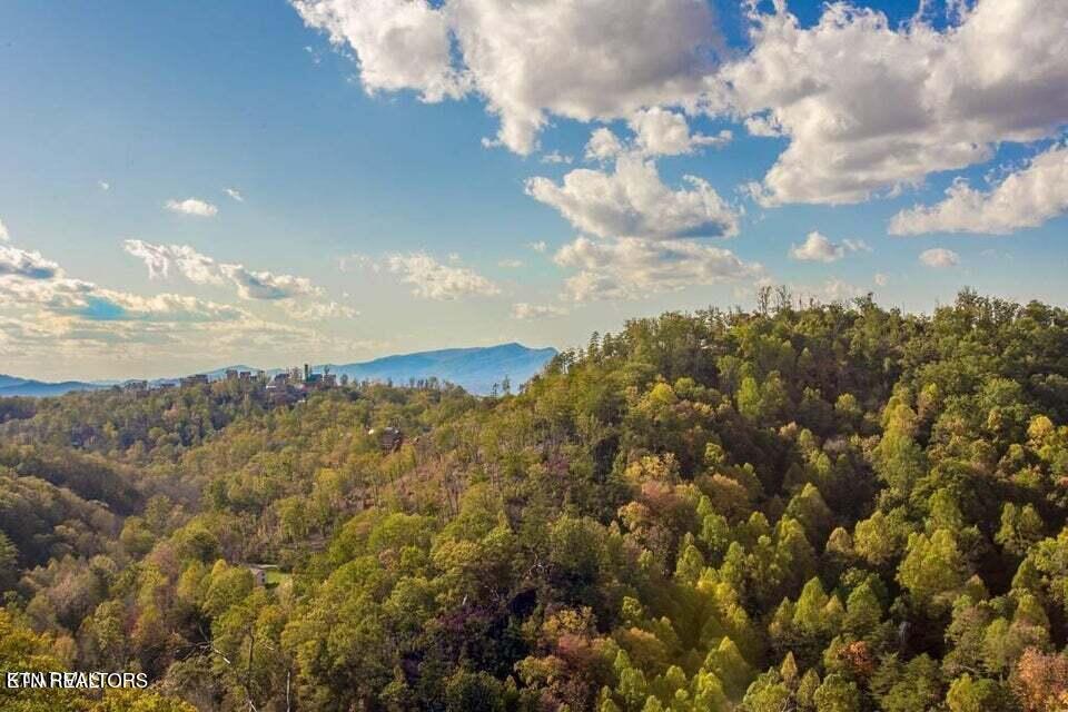 1860 Billard Way Sevierville, TN 37876 - Photo 13 of 52 QB35