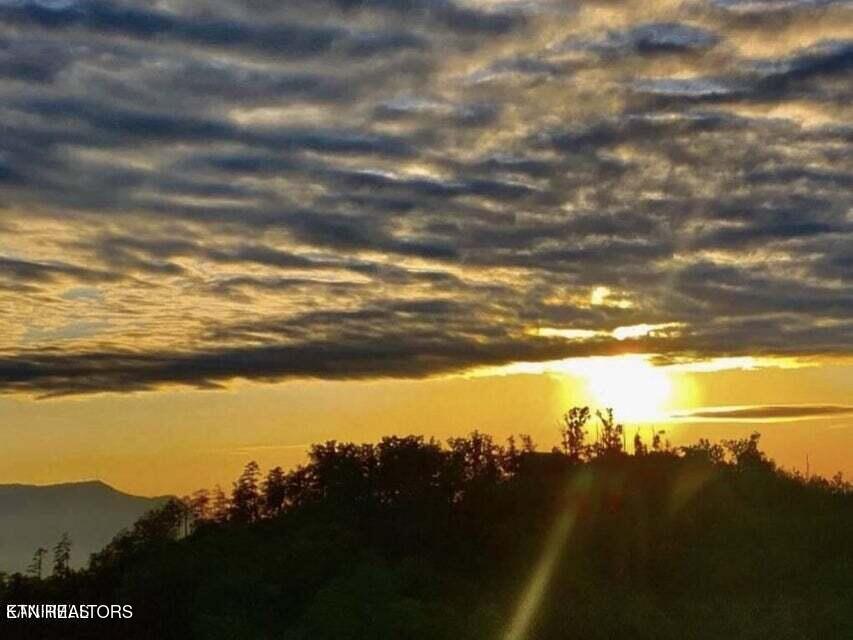 1860 Billard Way Sevierville, TN 37876 - Photo 26 of 52 QB23