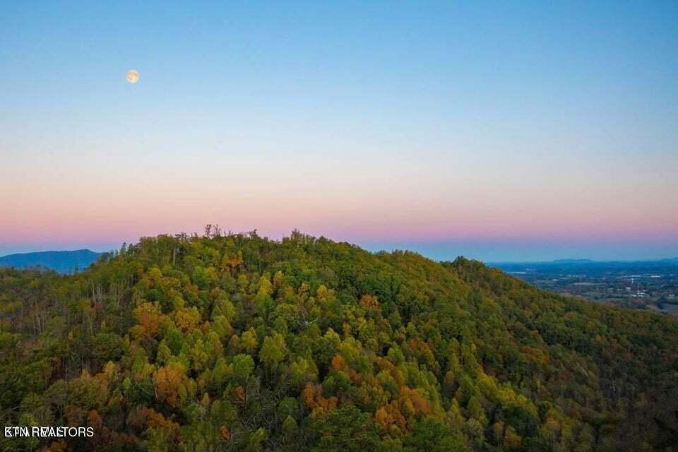 1860 Billard Way Sevierville, TN 37876 - Photo 3 of 52 QB46