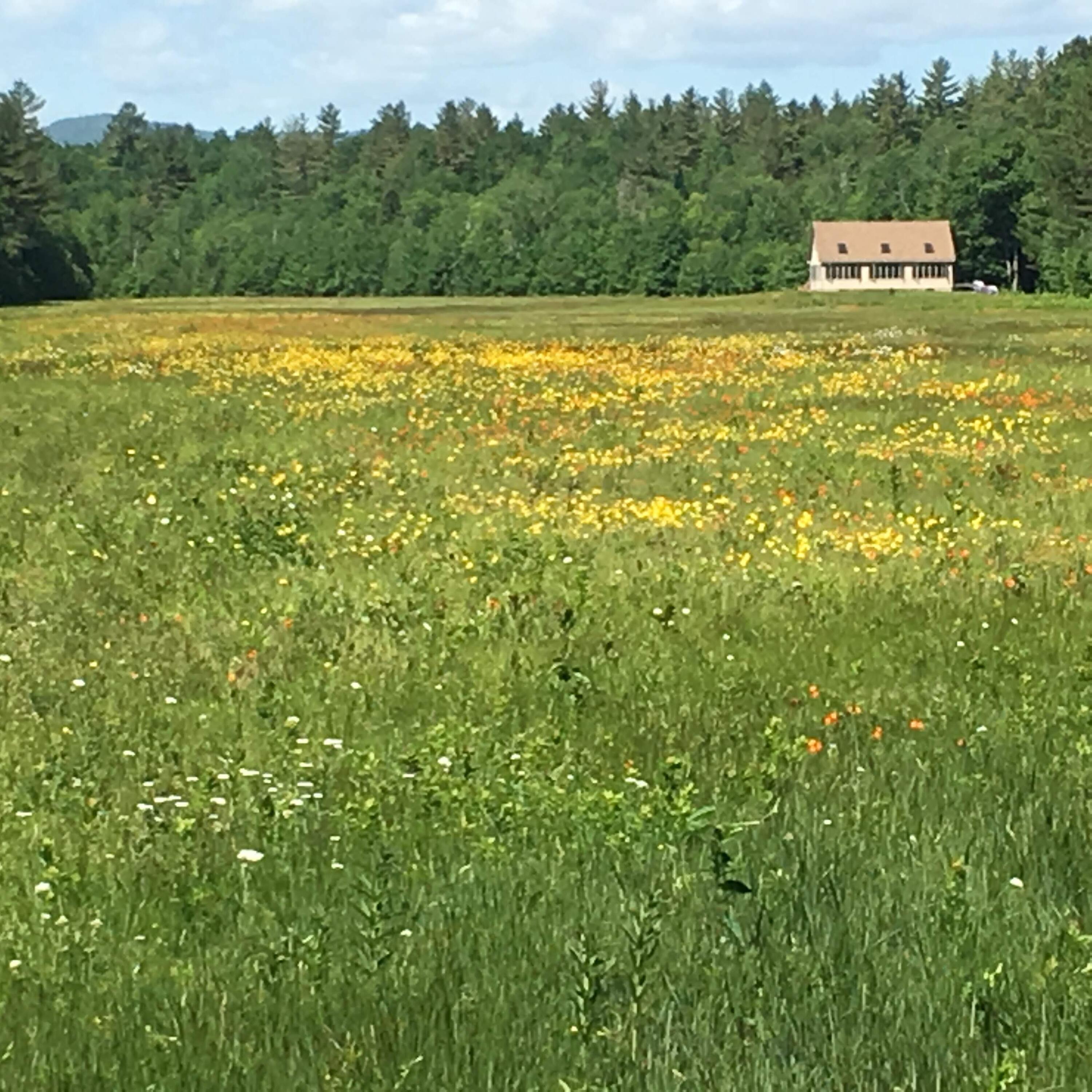 149 Airport Road Phillips, ME 04966 - Photo 2 of 16