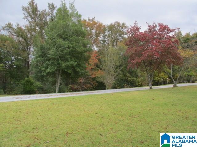 1024 Highway 12 Oneonta Al Oneonta, AL 35121 - Photo 14 of 14