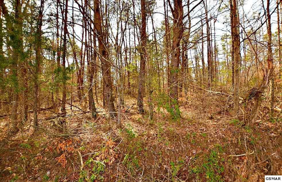 18 Shale Road Newport, TN 37821 - Photo 8 of 15 Gallery Image 8