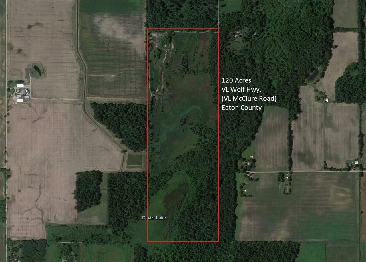 Vl Mcclure Road Eaton Rapids, MI 48827 - Photo 1 of 72