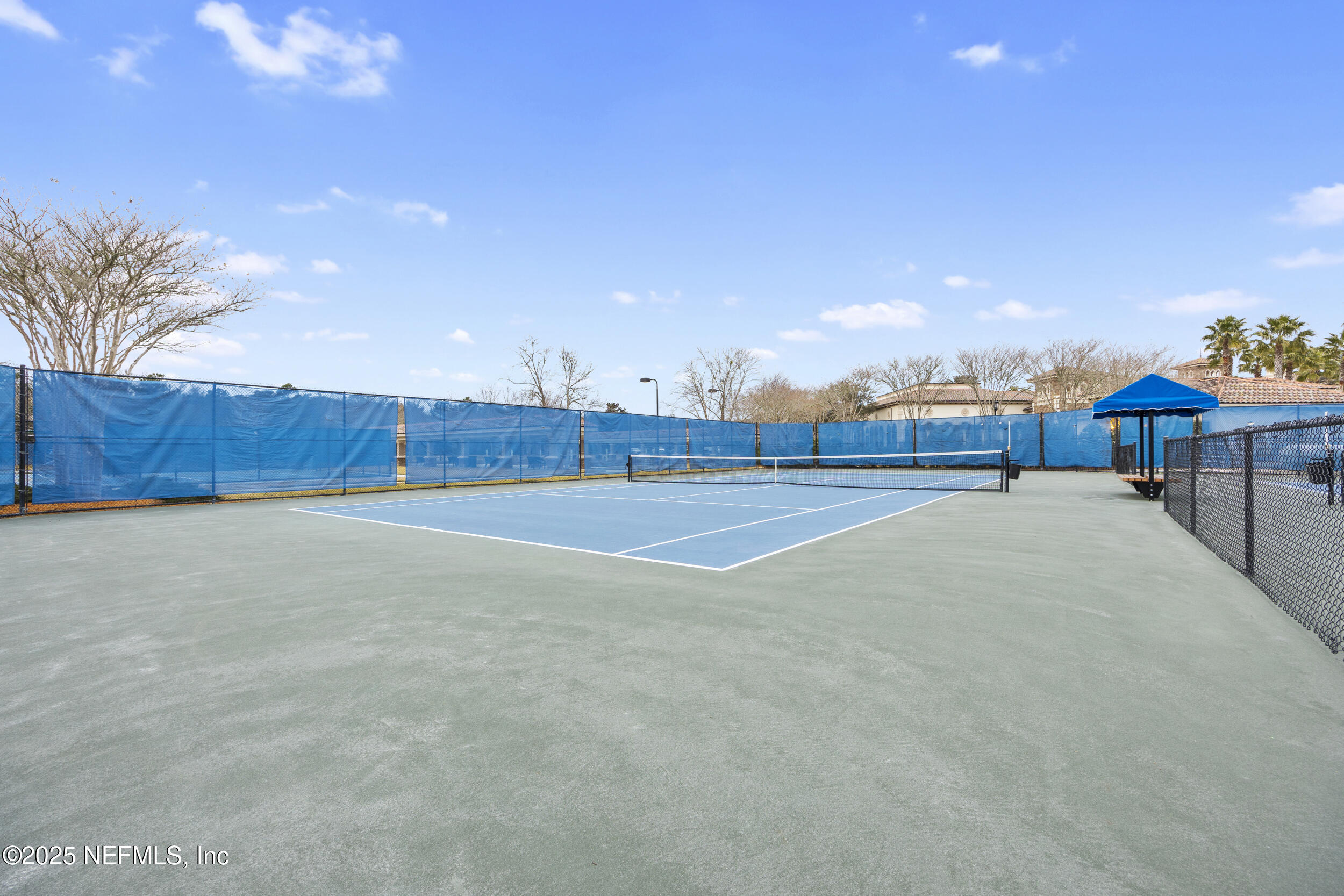 234 Tree Side Lane Ponte Vedra, FL 32081 - Photo 104 of 124 Tons of Courts