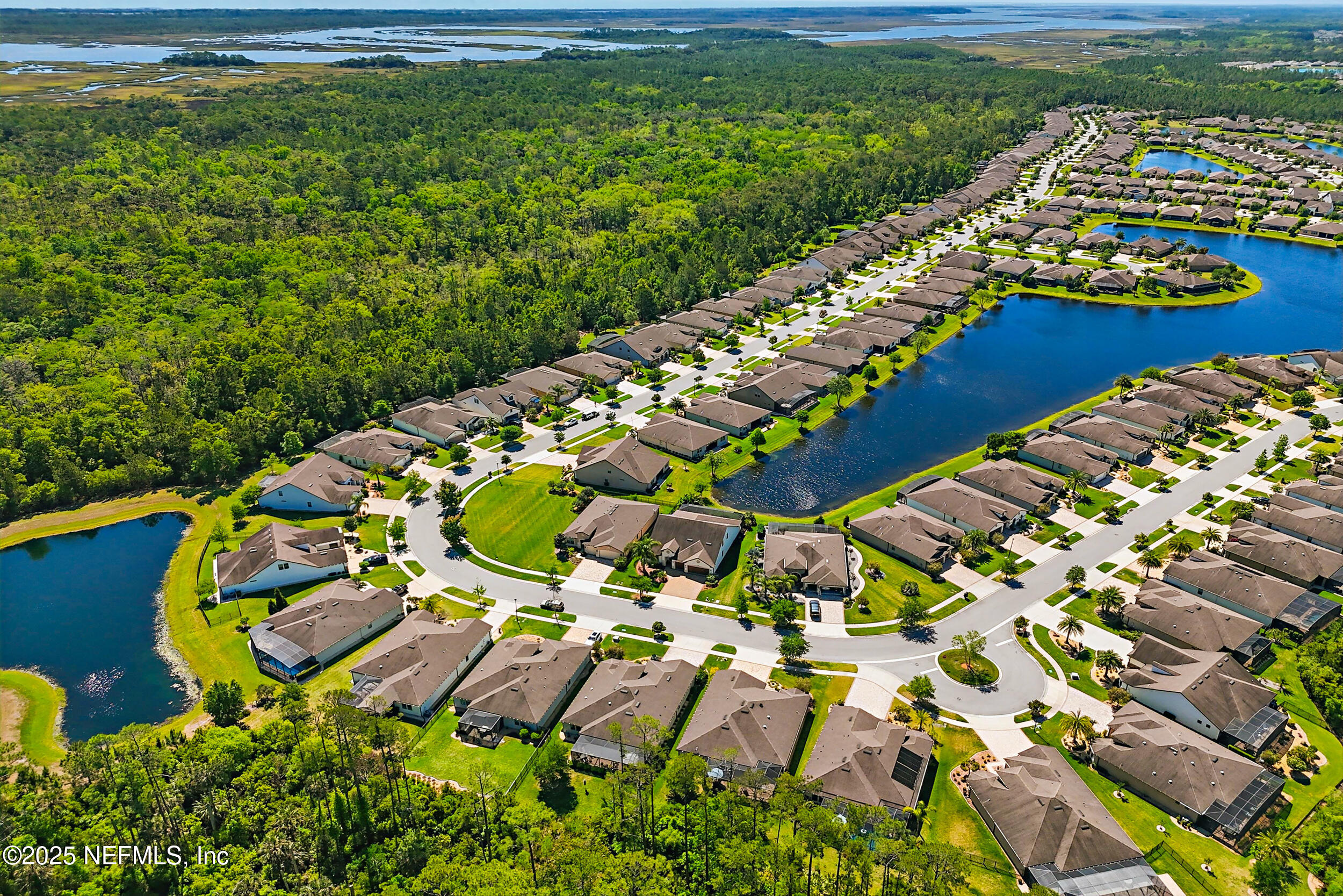 234 Tree Side Lane Ponte Vedra, FL 32081 - Photo 65 of 124 Drone