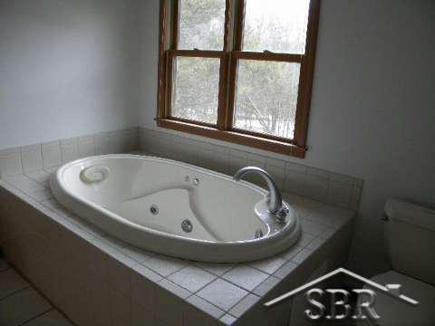 9933 North Gleaner Road Freeland, MI 48623 - Photo 16 of 25 20091296-16.JPG