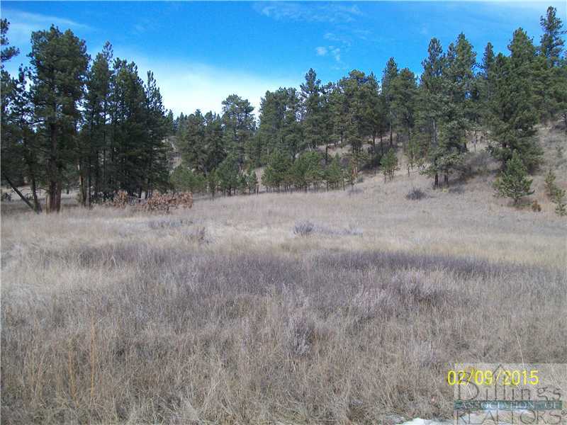 78 10 Mile Road Broadus, MT 59317 - Photo 1 of 1 Gallery Image 1