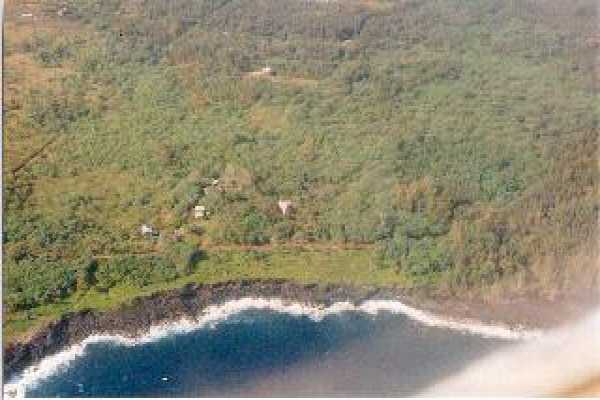 49 Government Beach Road Pahoa, HI 96778 - Photo 1 of 1 a view of a pathway in a yard