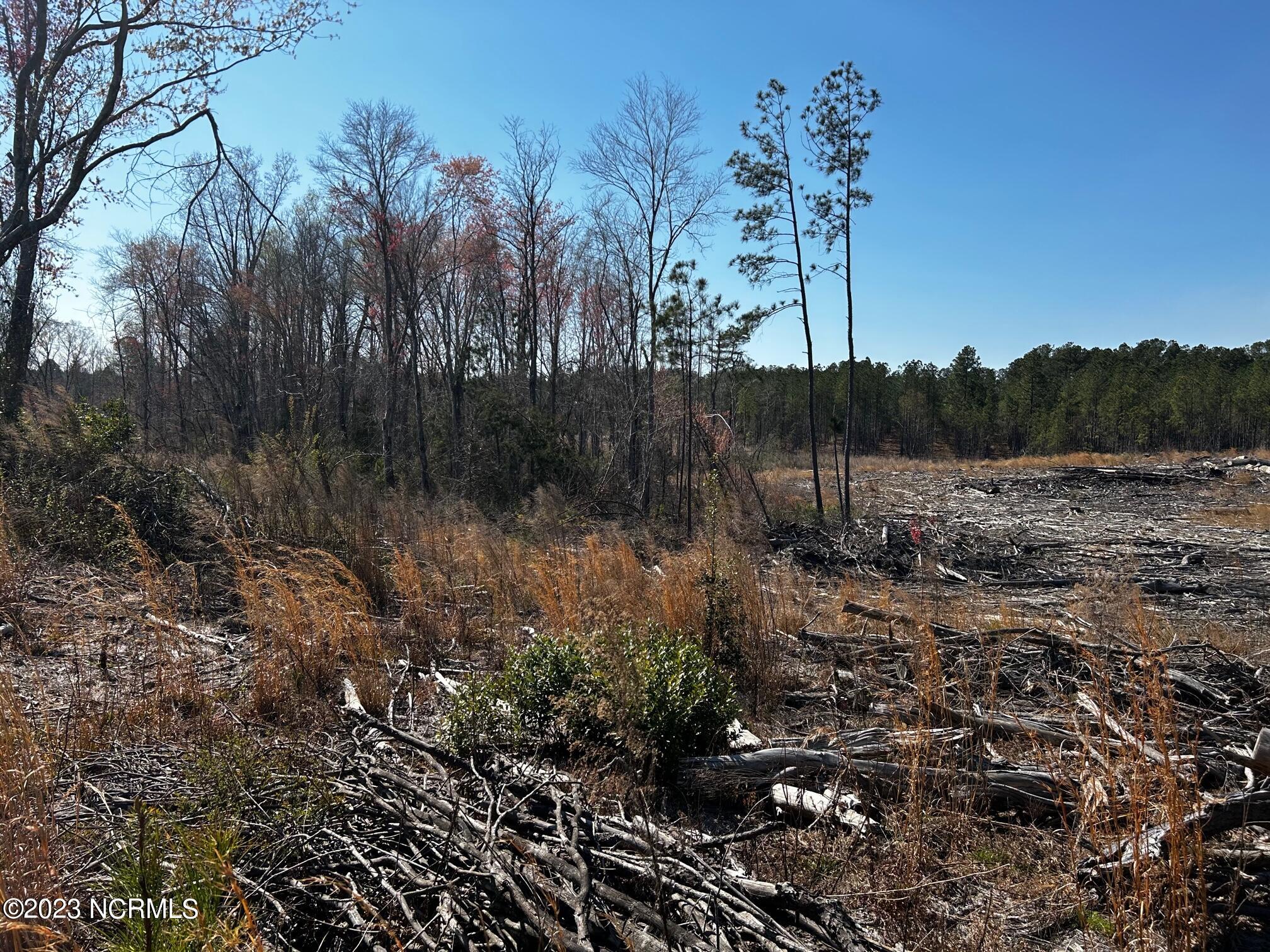 Tbd Army Road Raeford, NC 28376 - Photo 5 of 23 A6