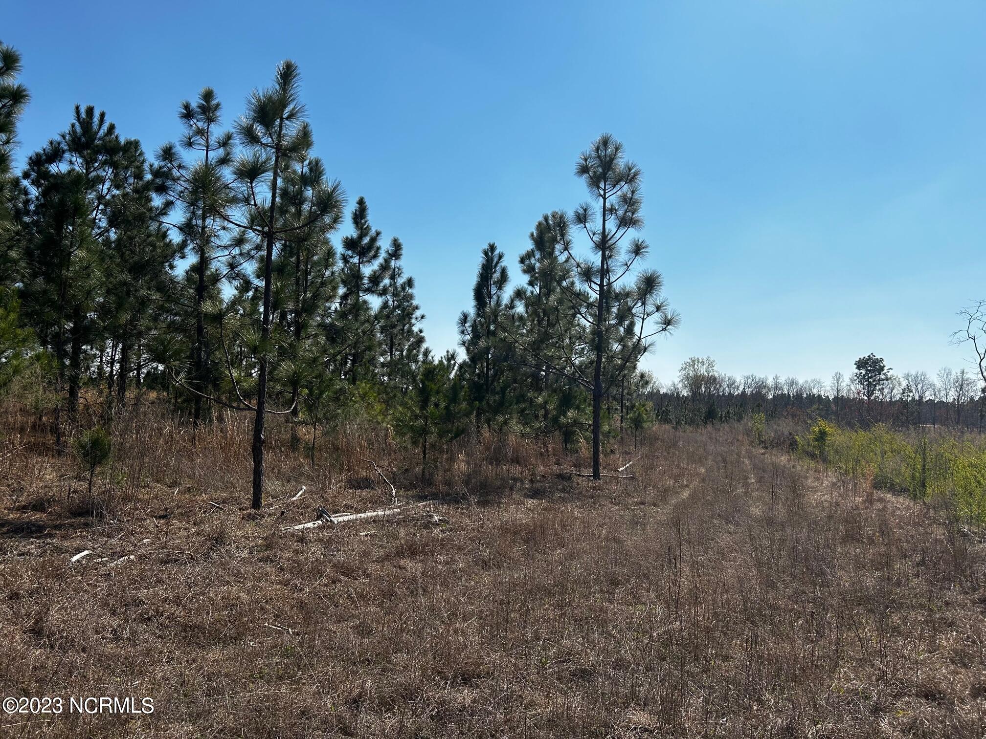 Tbd Army Road Raeford, NC 28376 - Photo 8 of 23 A14
