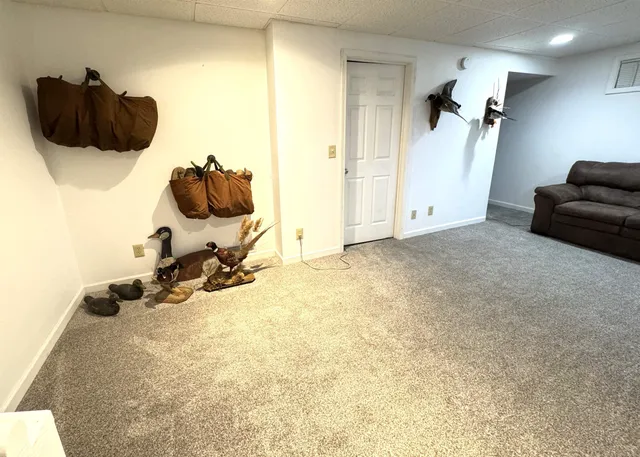 $397,000 | 26-58 Blackwood Court, Lake Carroll, IL 61046