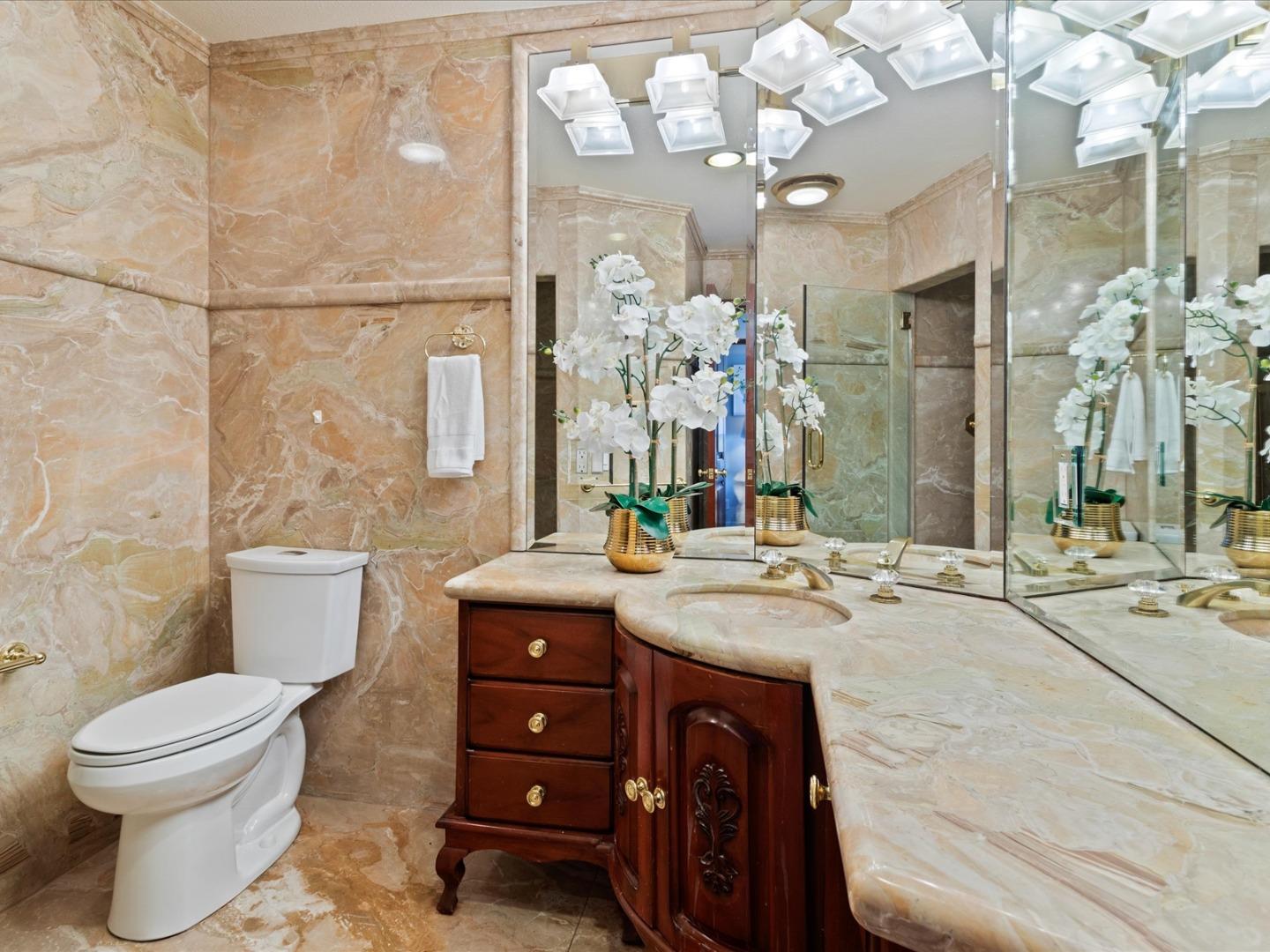 1 Lewis Ranch Road San Carlos, CA 94070 - Photo 69 of 94 a bathroom with a sink a toilet a mirror a vanity and shower