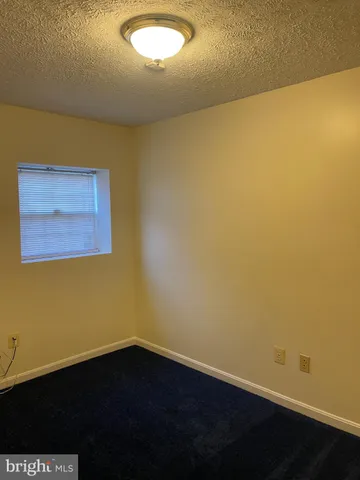 a view of a backyard with tree s