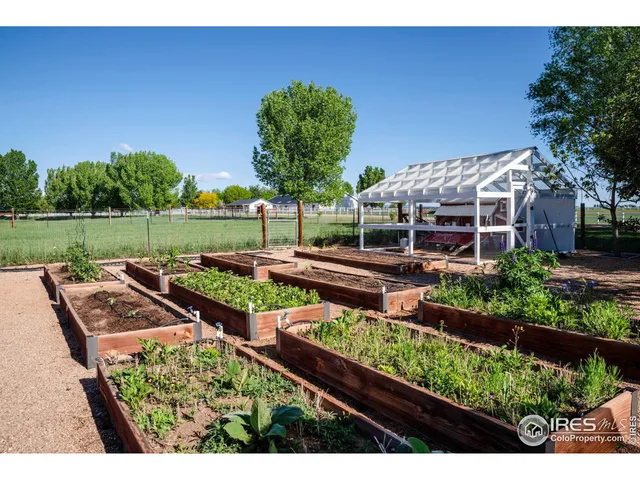 a view of a wooden bridge