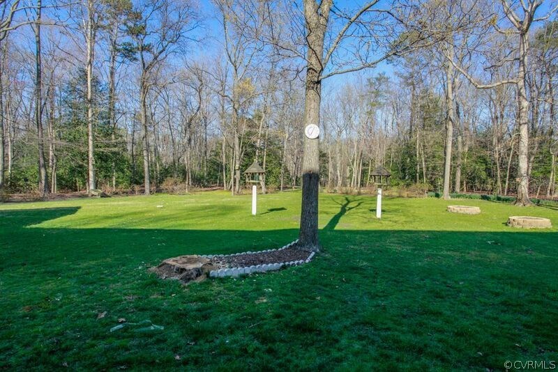 12907 Rivers Bend Road Chester, VA 23836 - Photo 34 of 43 Huge back yard with built-in bird feeders, all bac
