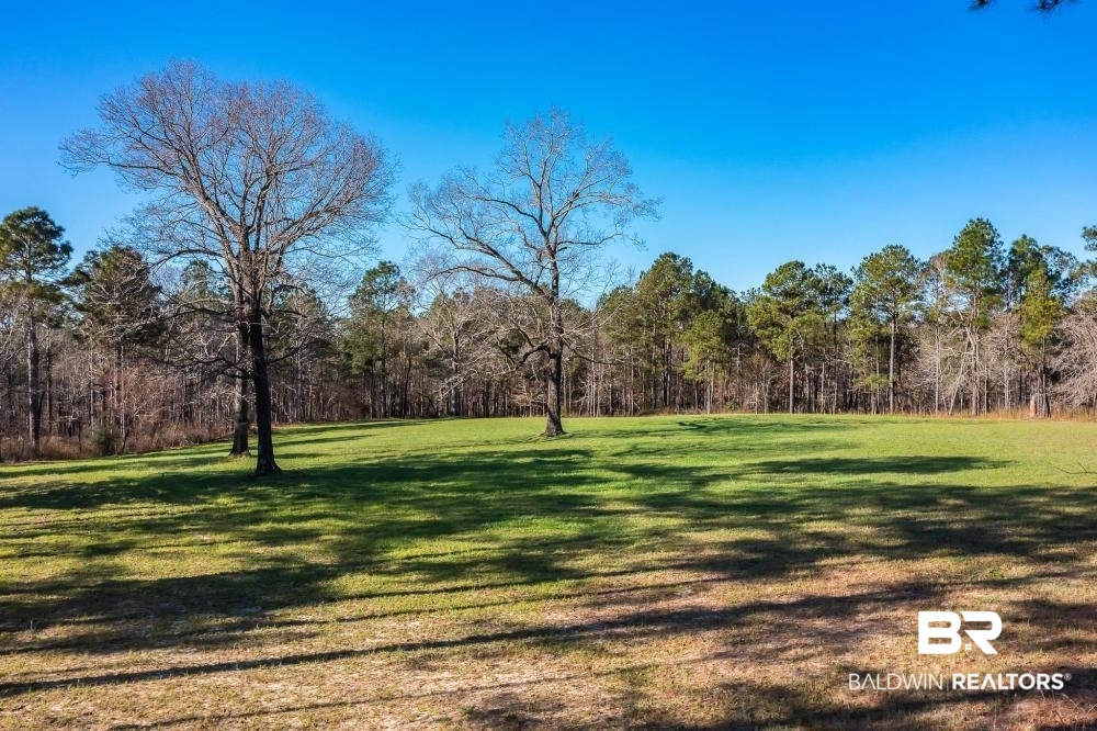 0 Private Road Millry, AL 36558 - Photo 29 of 50
