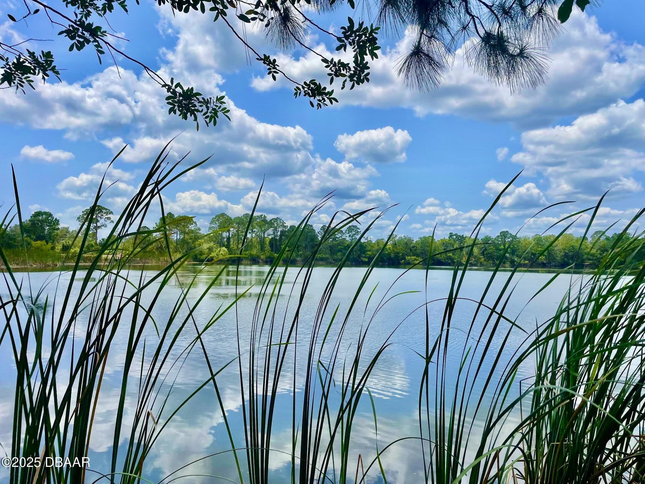 Lake Life