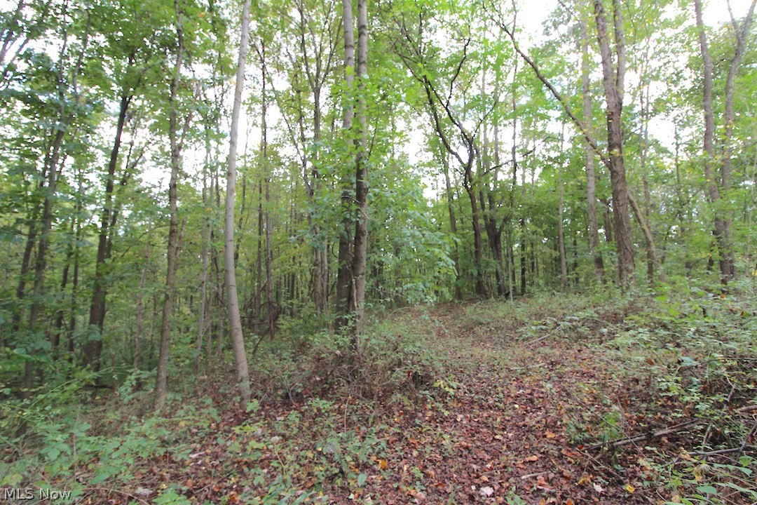 8820 Euga Road Newcomerstown, OH 43832 - Photo 19 of 35 Gallery Image 19