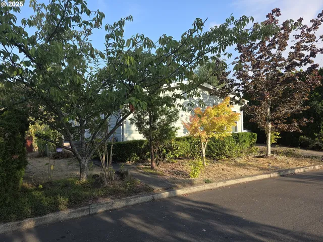 a view of a house with a tree