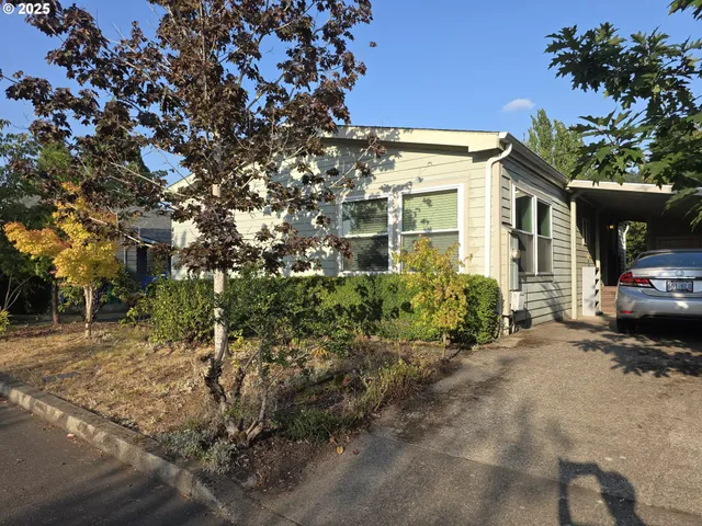 a view of a backyard with large trees