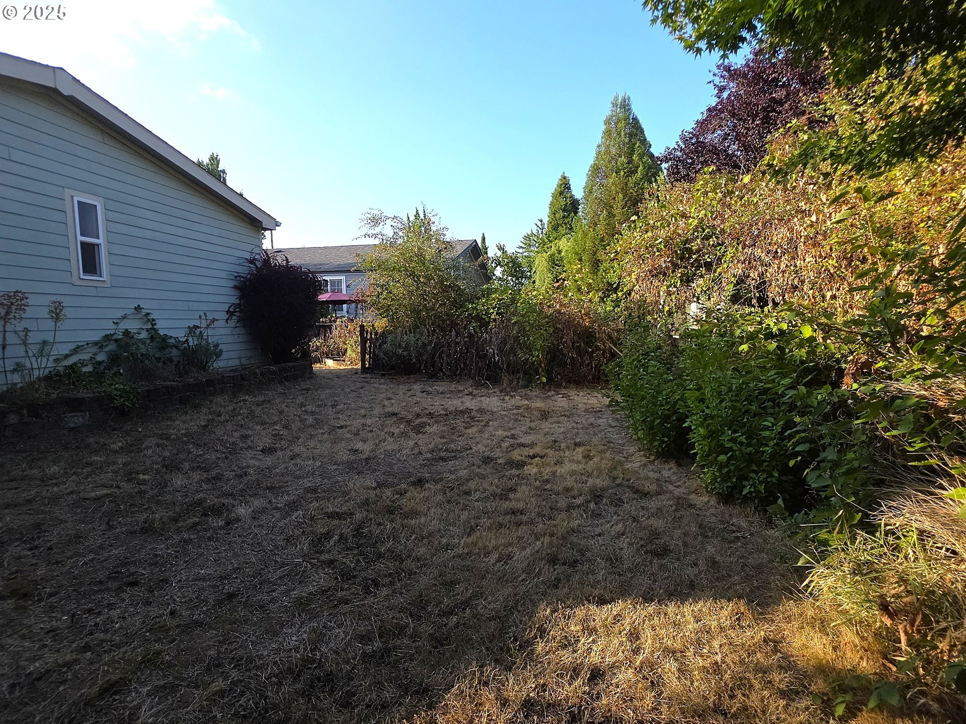 4808 Southeast 134th Drive Portland, OR 97236 - Photo 4 of 15 a view of a backyard with large trees
