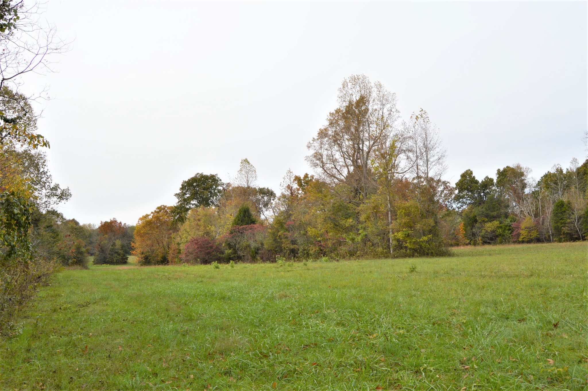 2964 Ownby Road Lewisburg, TN 37091 - Photo 11 of 34 Gallery Image 11