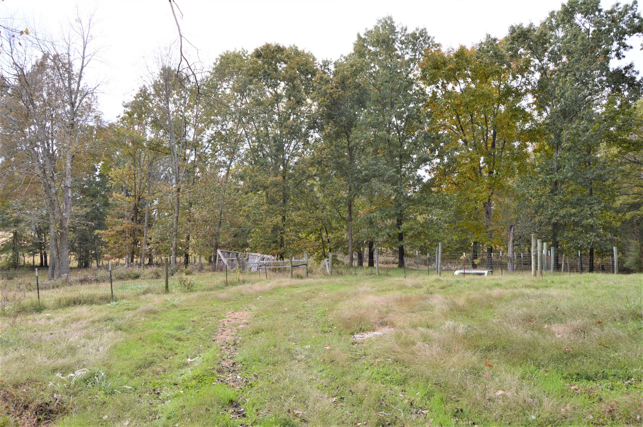 2964 Ownby Road Lewisburg, TN 37091 - Photo 21 of 34 Gallery Image 21