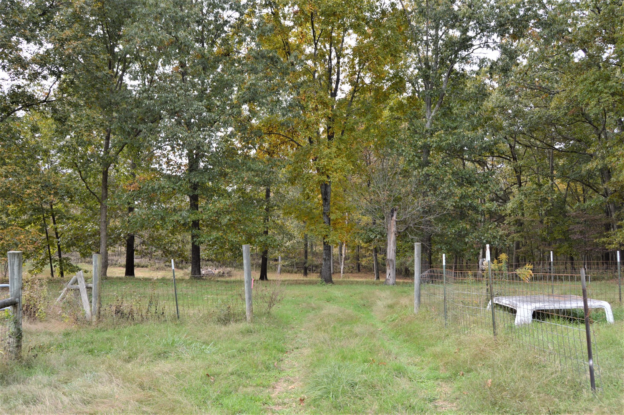 2964 Ownby Road Lewisburg, TN 37091 - Photo 22 of 34 Gallery Image 22
