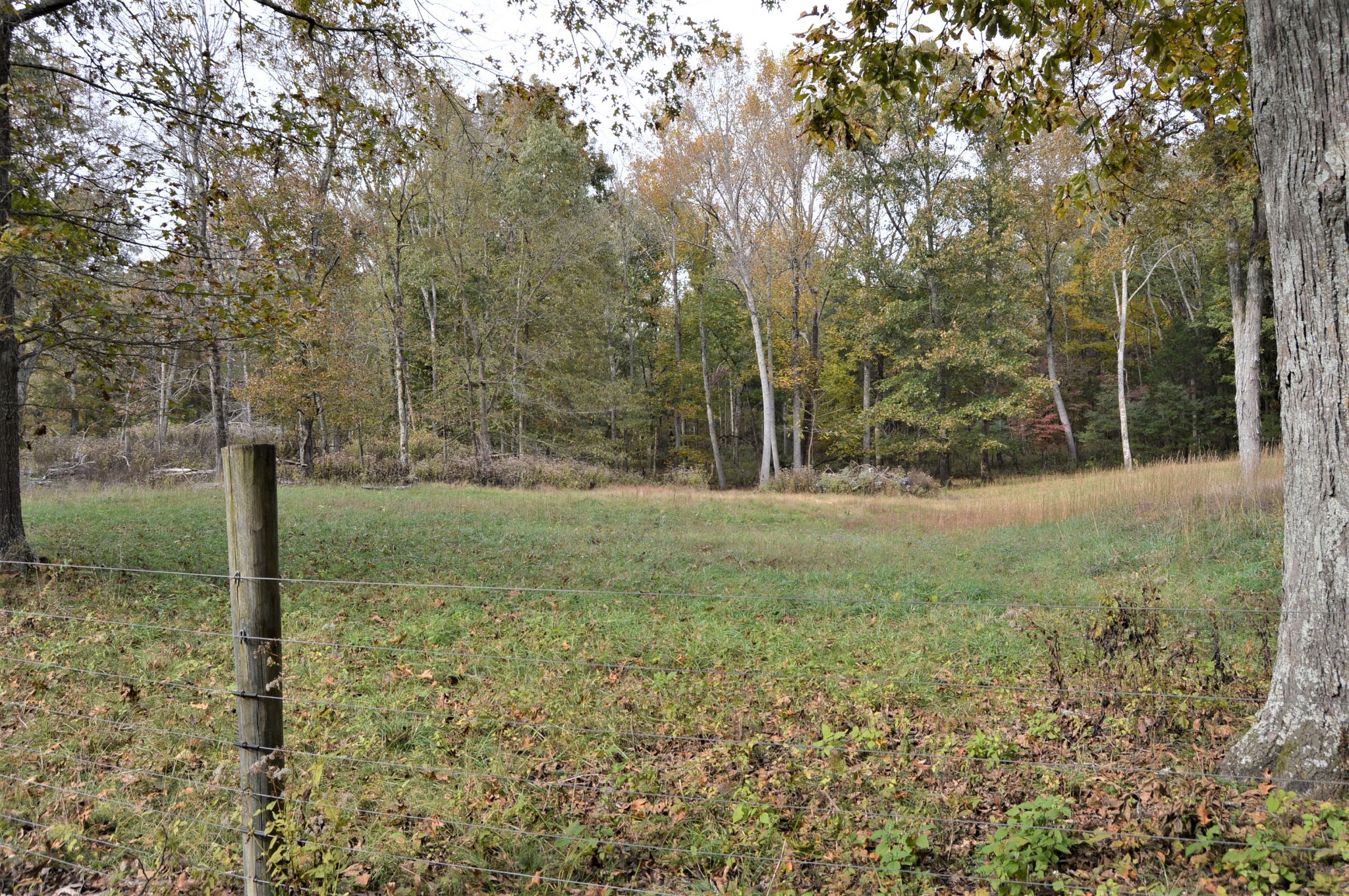 2964 Ownby Road Lewisburg, TN 37091 - Photo 23 of 34 Gallery Image 23