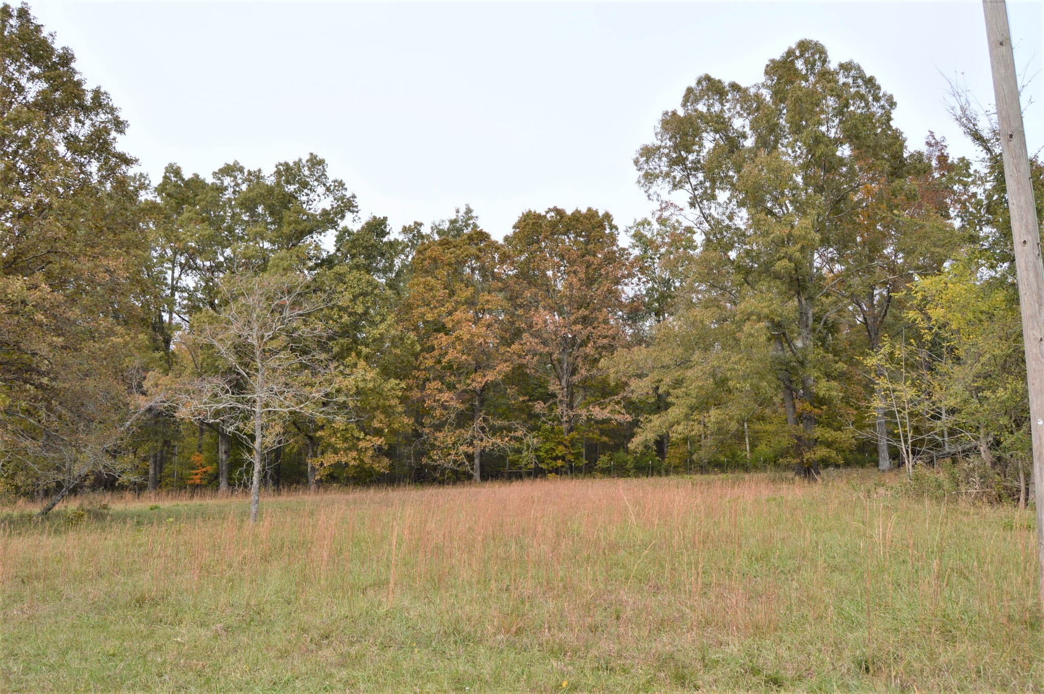 2964 Ownby Road Lewisburg, TN 37091 - Photo 24 of 34 Gallery Image 24