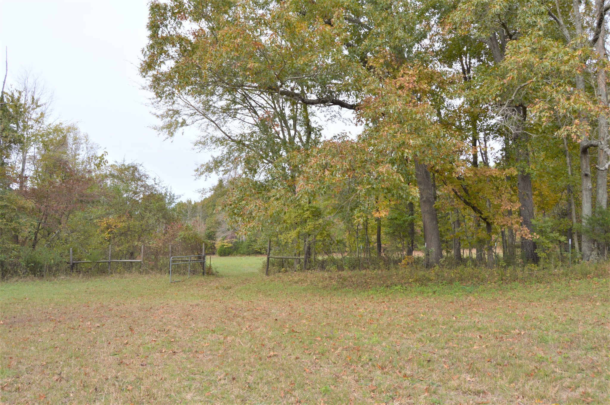 2964 Ownby Road Lewisburg, TN 37091 - Photo 25 of 34 Gallery Image 25