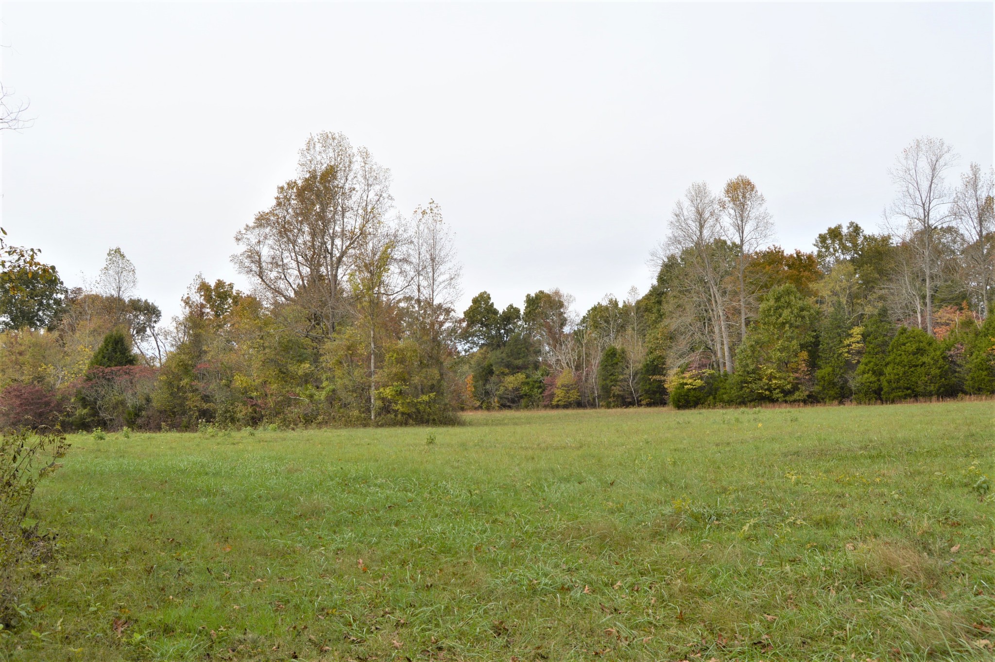 2964 Ownby Road Lewisburg, TN 37091 - Photo 26 of 34 Gallery Image 26