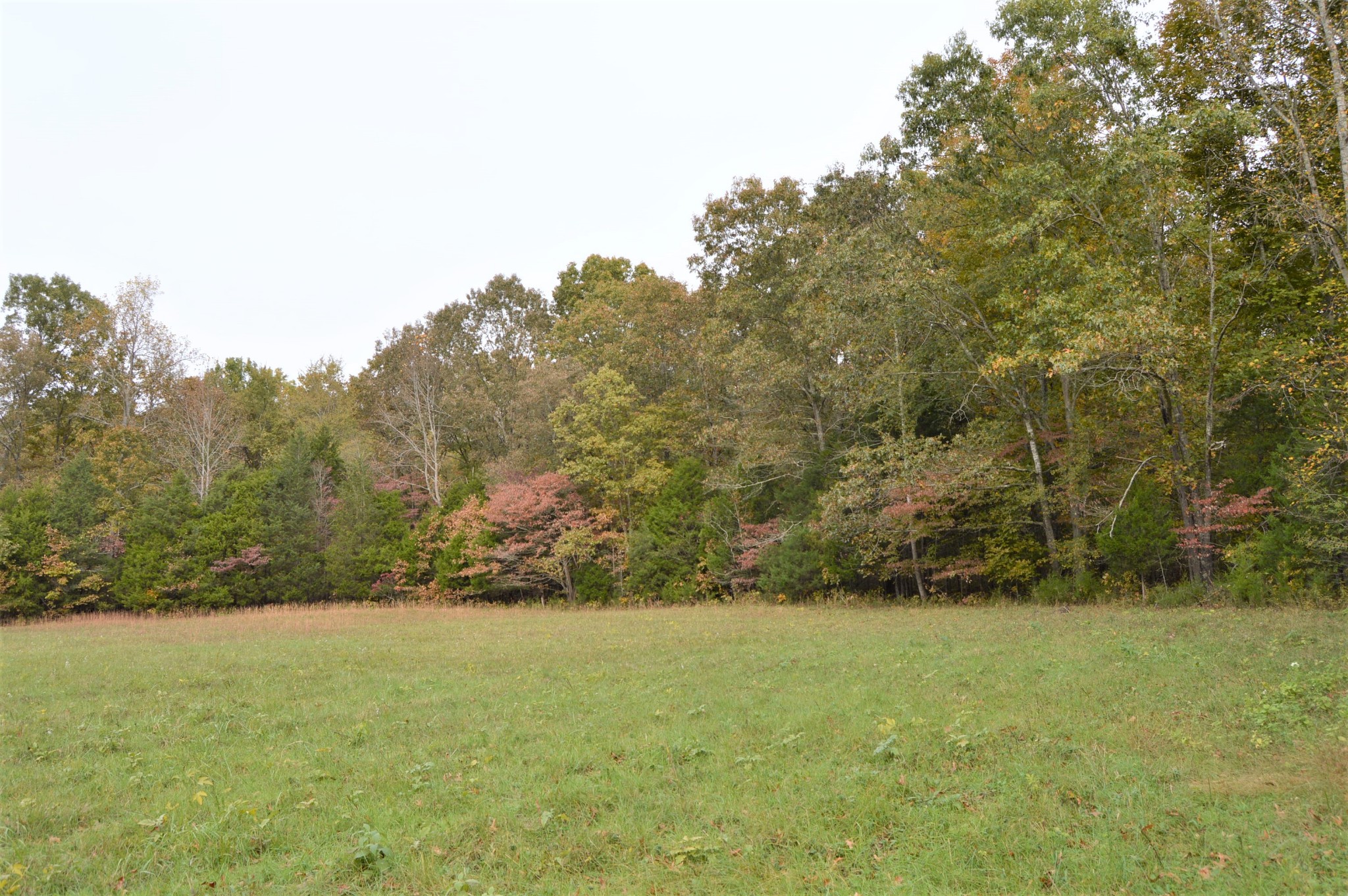 2964 Ownby Road Lewisburg, TN 37091 - Photo 27 of 34 Gallery Image 27