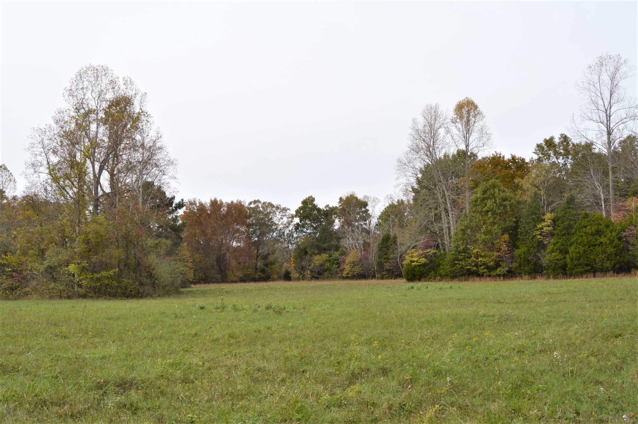 2964 Ownby Road Lewisburg, TN 37091 - Photo 28 of 34 Gallery Image 28