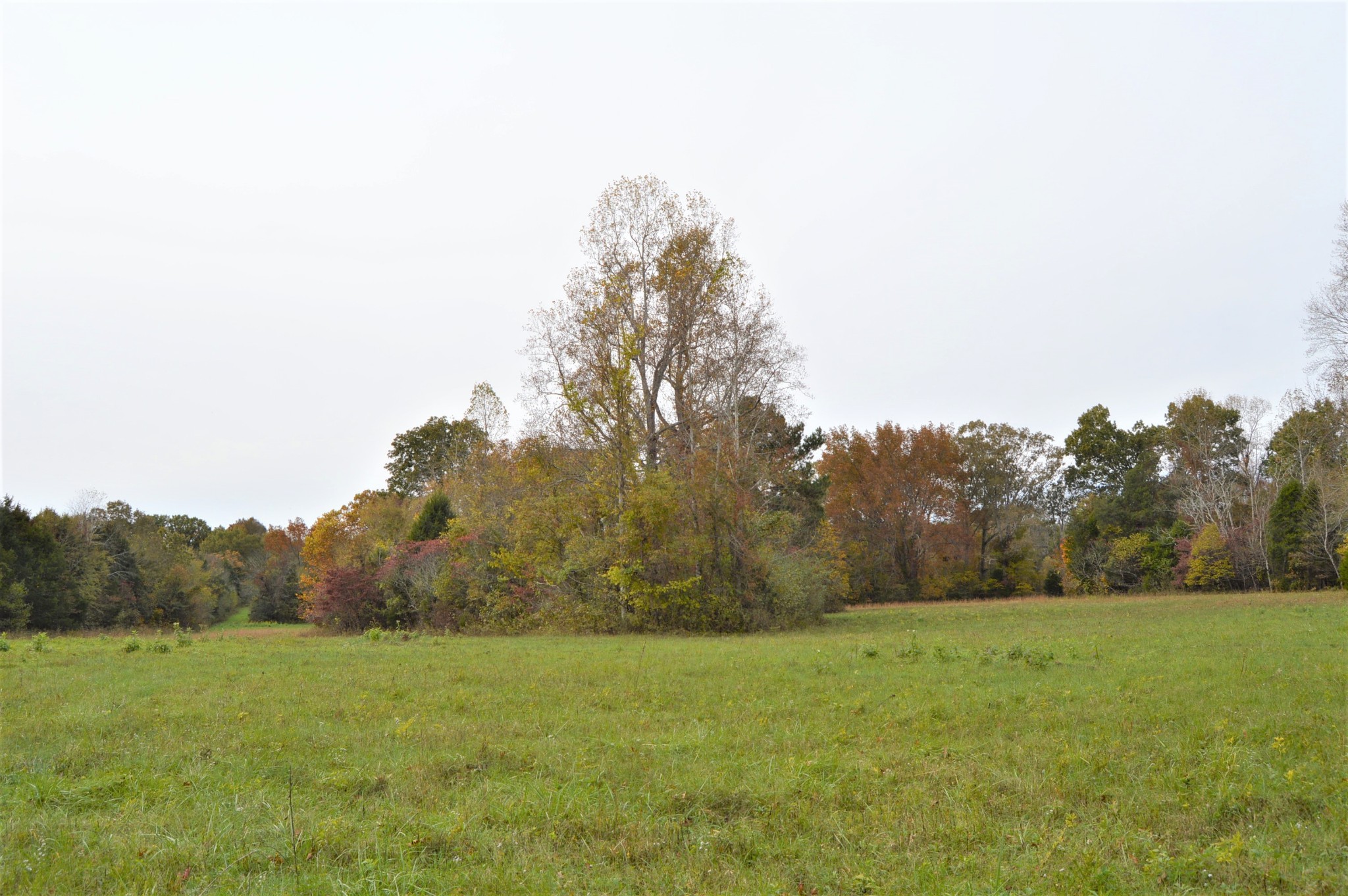 2964 Ownby Road Lewisburg, TN 37091 - Photo 29 of 34 Gallery Image 29