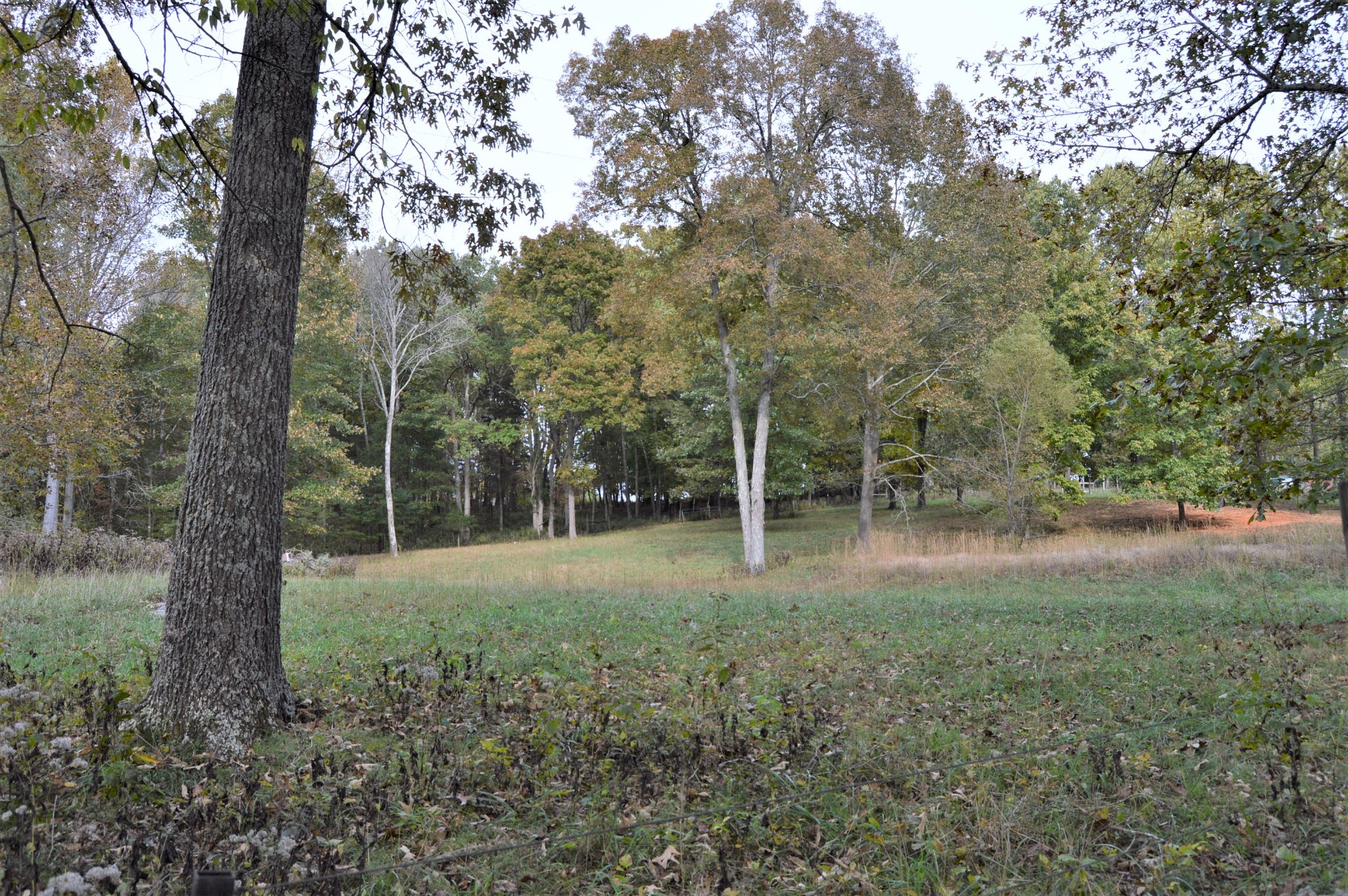2964 Ownby Road Lewisburg, TN 37091 - Photo 31 of 34 Gallery Image 31