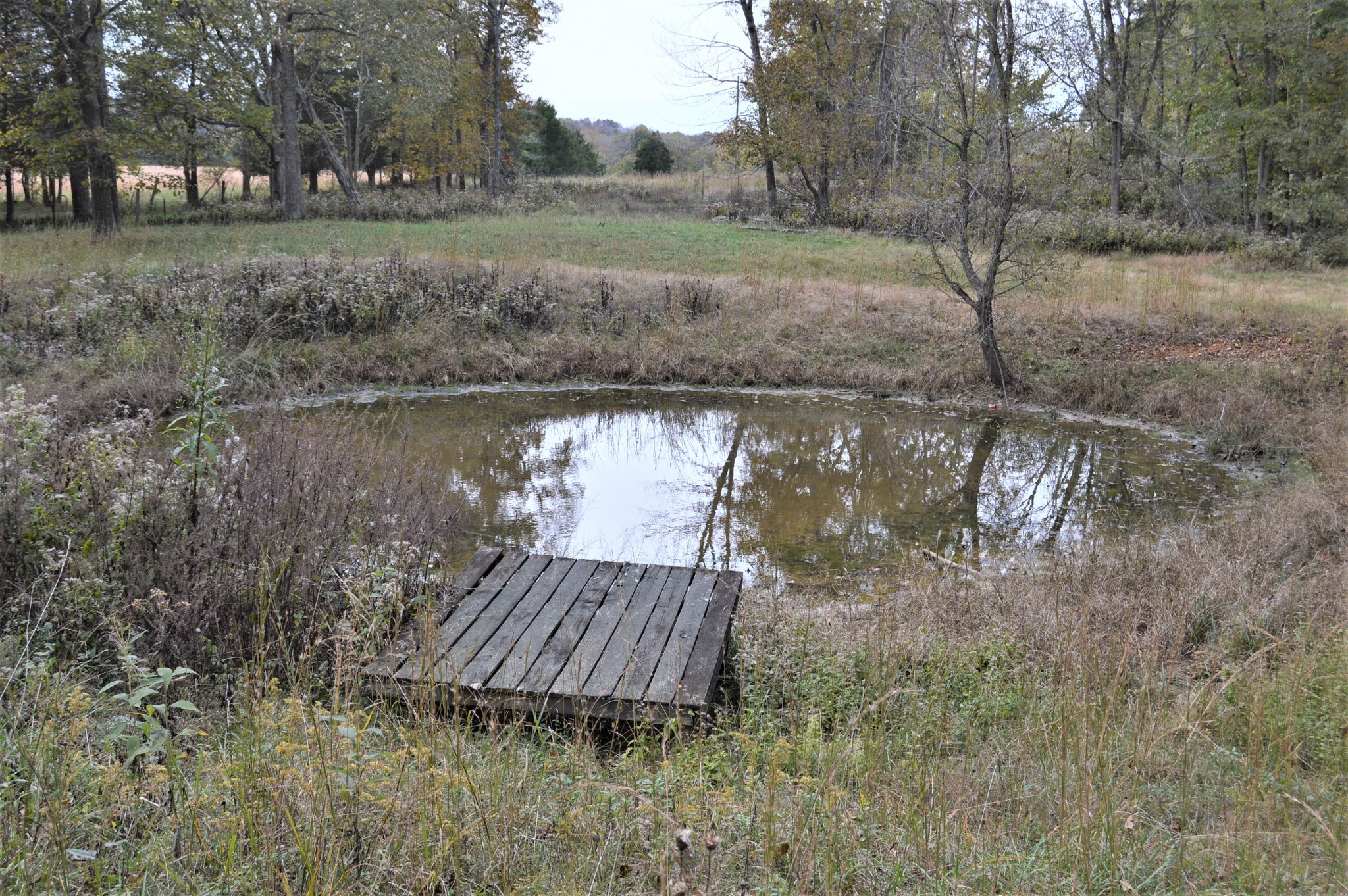 2964 Ownby Road Lewisburg, TN 37091 - Photo 7 of 34 Gallery Image 7
