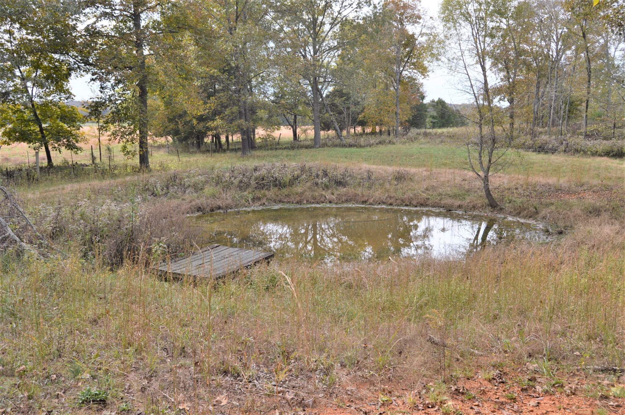 2964 Ownby Road Lewisburg, TN 37091 - Photo 8 of 34 Gallery Image 8