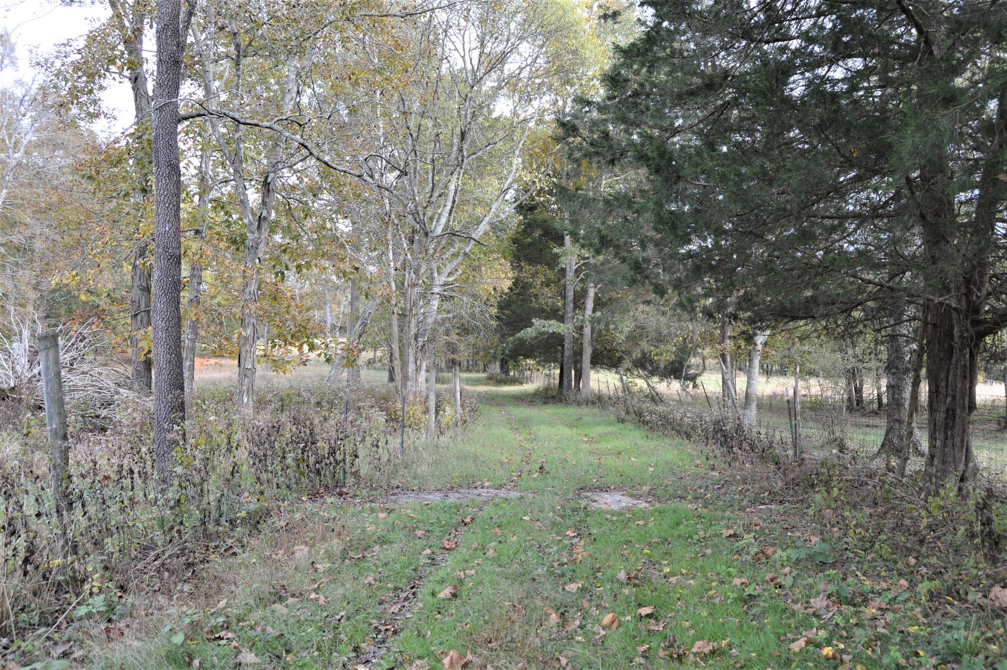 2964 Ownby Road Lewisburg, TN 37091 - Photo 9 of 34 Gallery Image 9