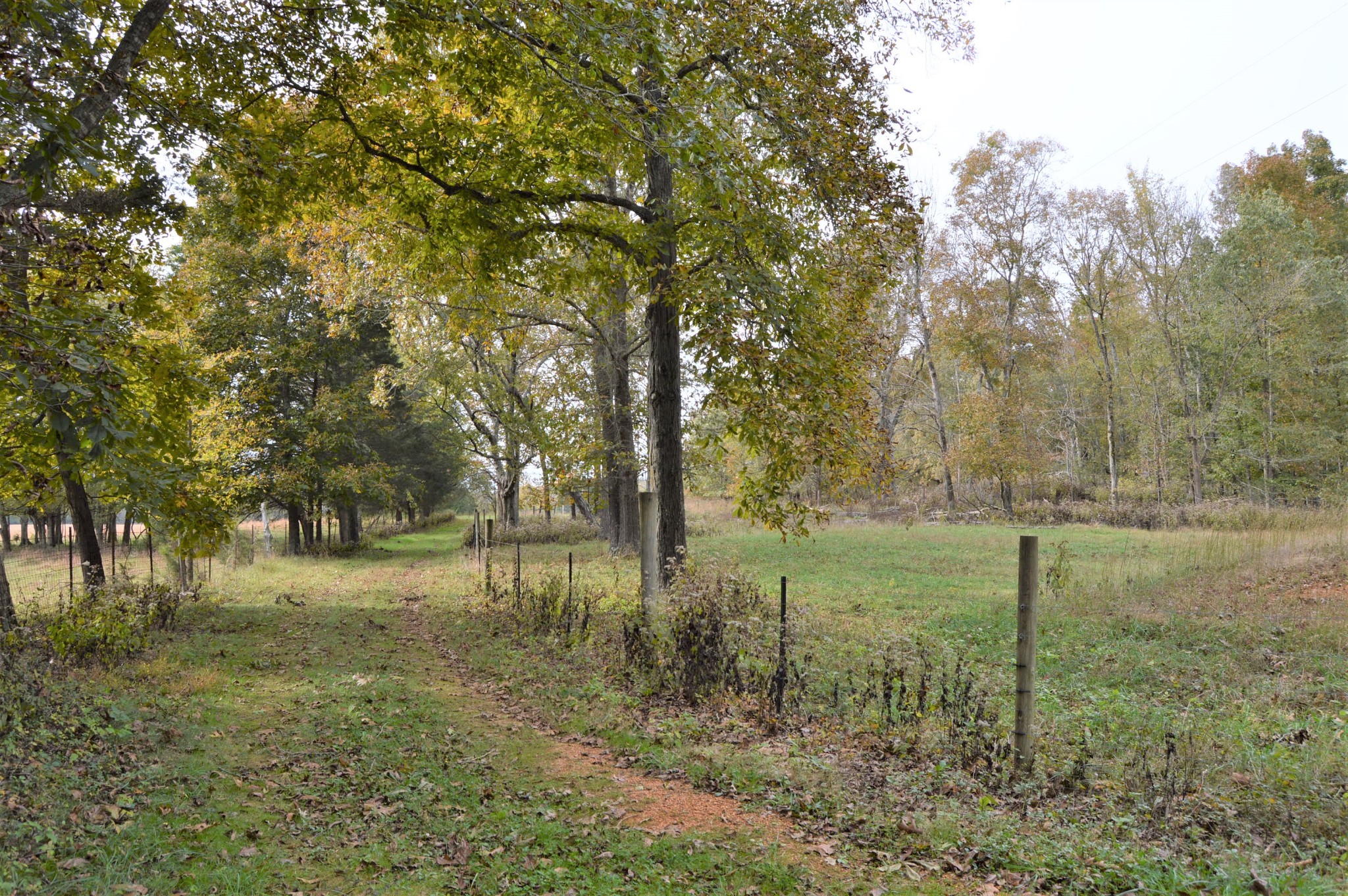 2964 Ownby Road Lewisburg, TN 37091 - Photo 10 of 34 Gallery Image 10