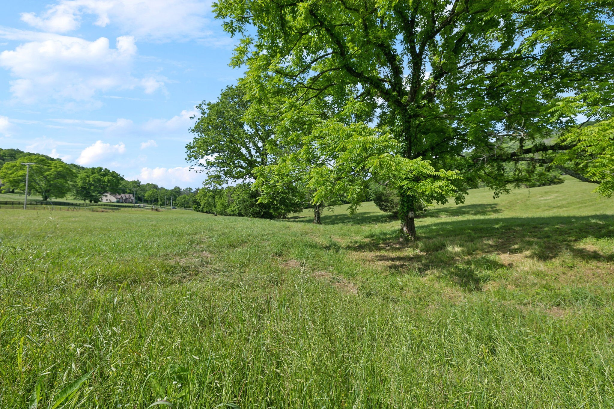 0 Arno Road College Grove, TN 37046 - Photo 16 of 25 a view of a green field with a tree