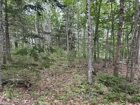 207-050 East Side Road Hancock, ME 04640 - Photo 8 of 42 8078F325-F832-4ACB-80D7-031A296538B6_4_5