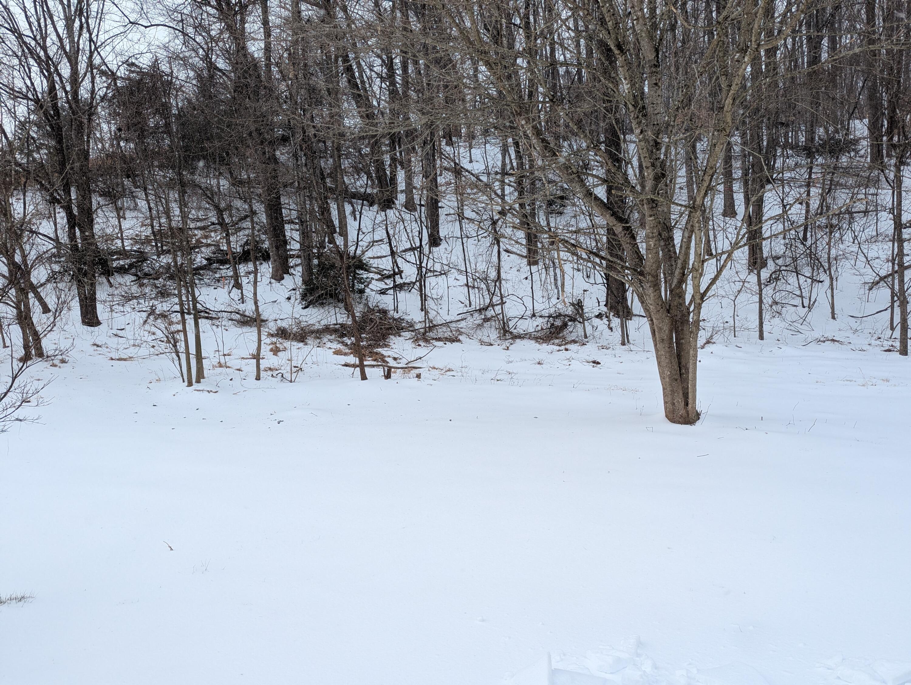 1020 Boones Mill Road Boones Mill, VA 24065 - Photo 32 of 38 Back yard