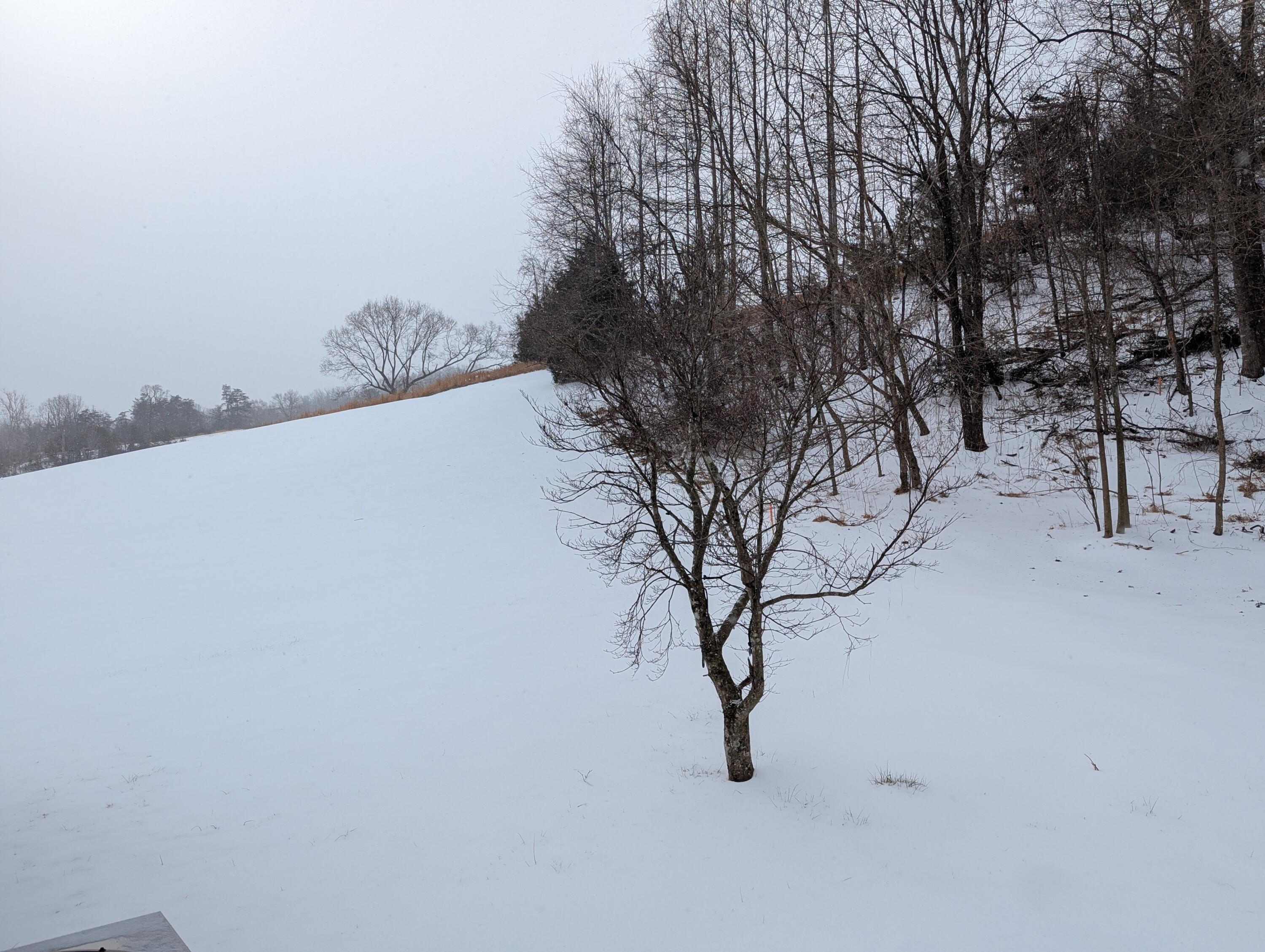 1020 Boones Mill Road Boones Mill, VA 24065 - Photo 33 of 38 View