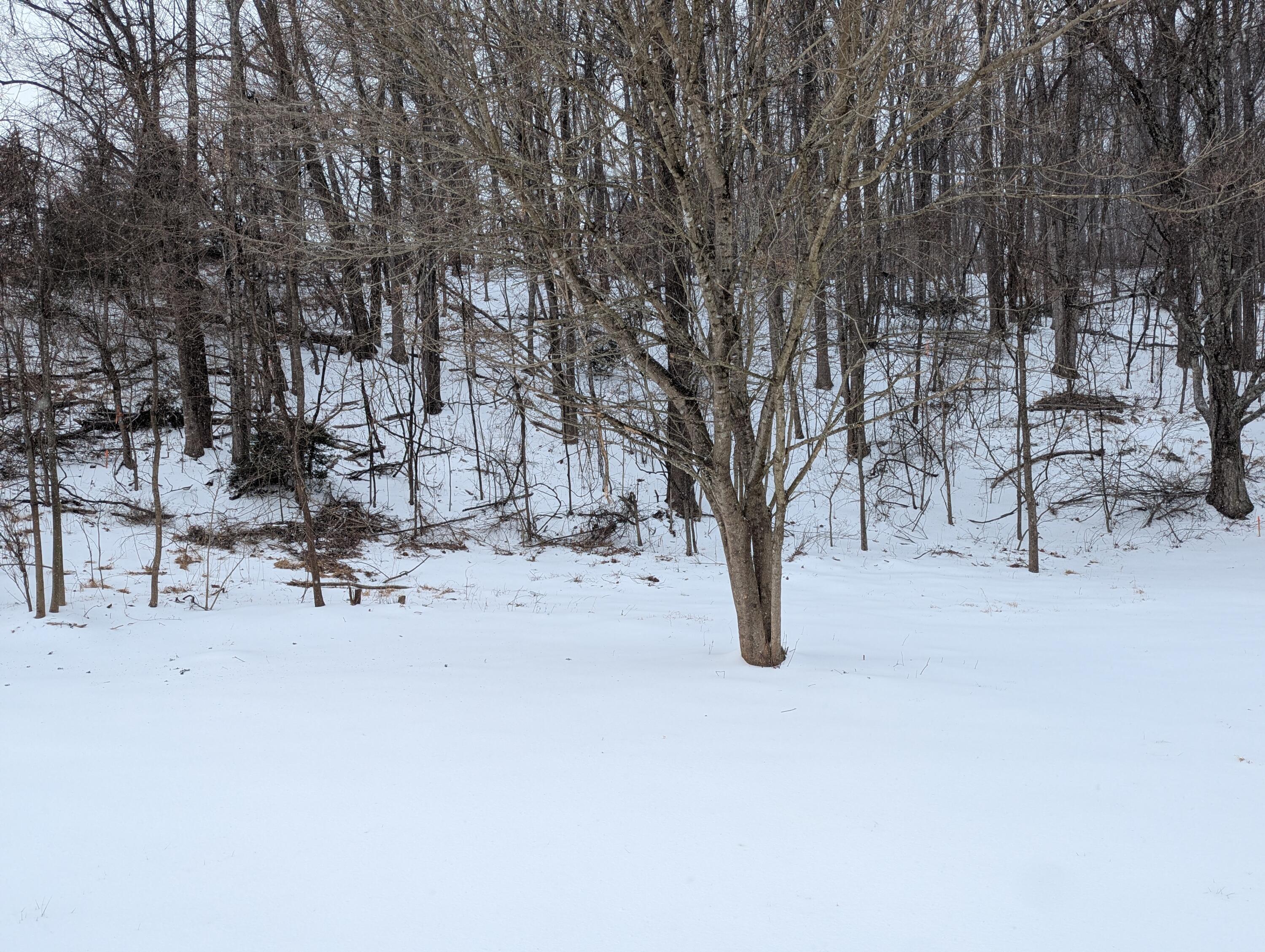 1020 Boones Mill Road Boones Mill, VA 24065 - Photo 34 of 38 Back yard