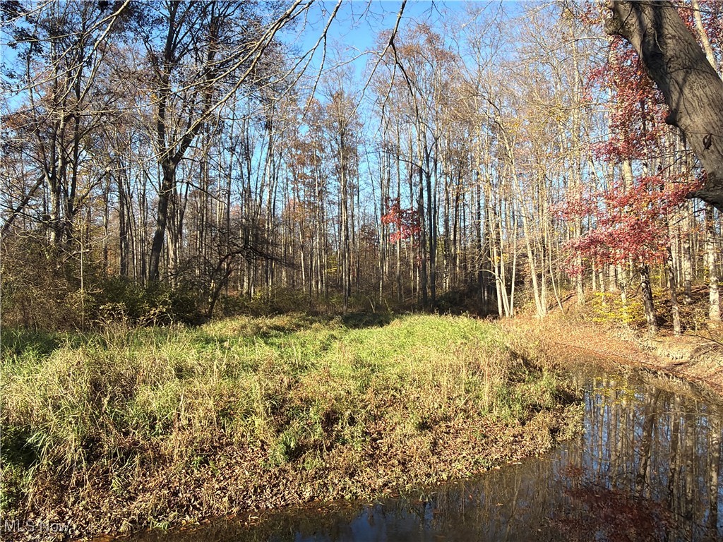 307 State Route Dorset, OH 44032 - Photo 29 of 50